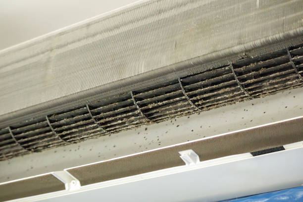 Best Duct Cleaning for Offices  in Lincolnshire, IL